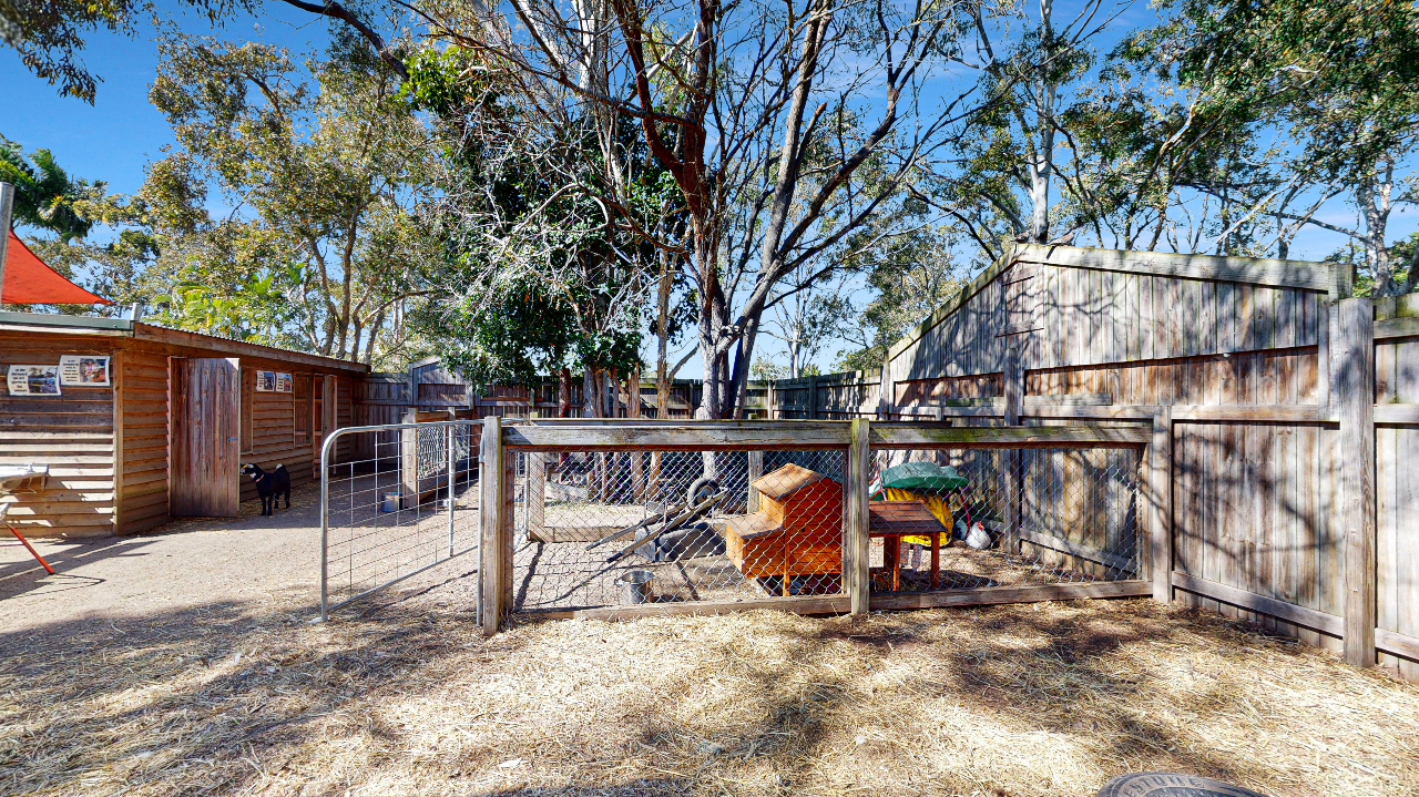 Busy Bees at Fraser Coast_Barnyard 2.jpg